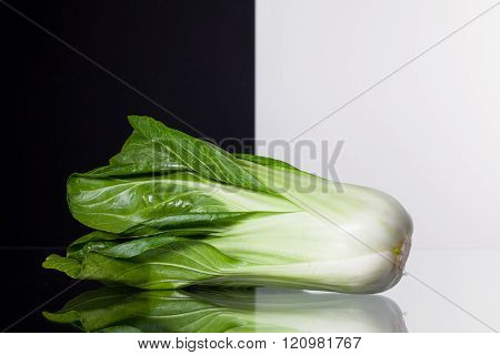 Single Chinese Cabbage Isolated On Black And White Background