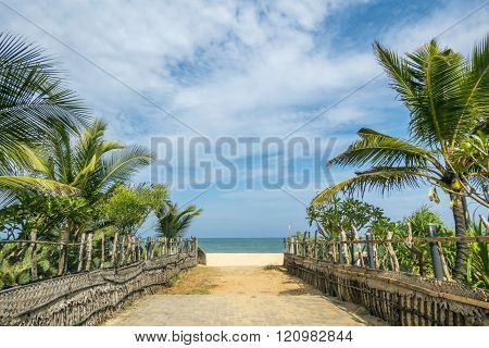 Arugam Bay, landscape of beach in Sri Lanka