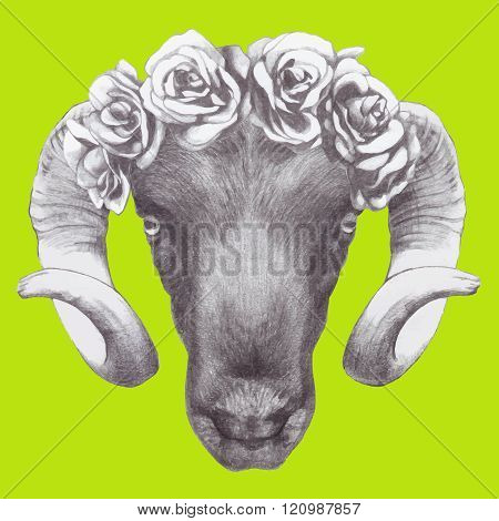Hand drawn ram's head with roses. Vector elements.