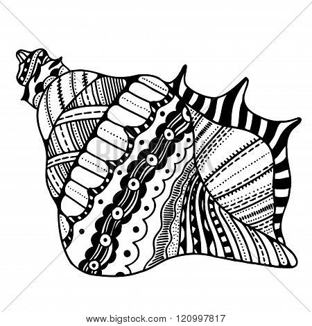 Zentangle Stylized Shell