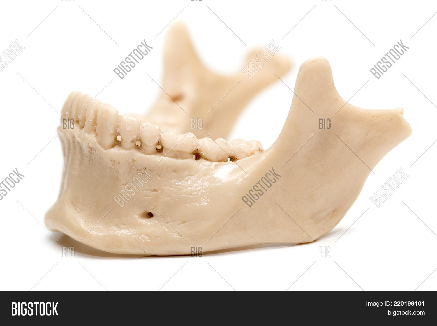 Image Preview