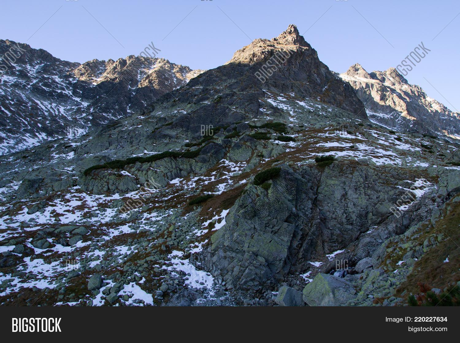 Image Preview
