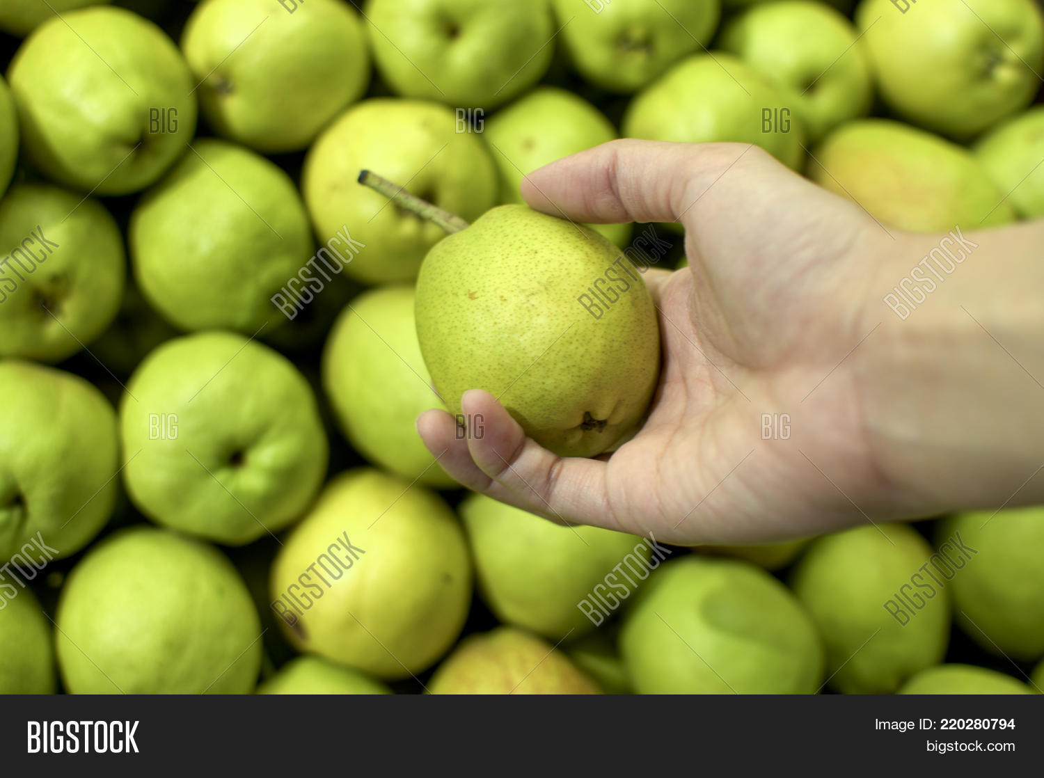 Image Preview