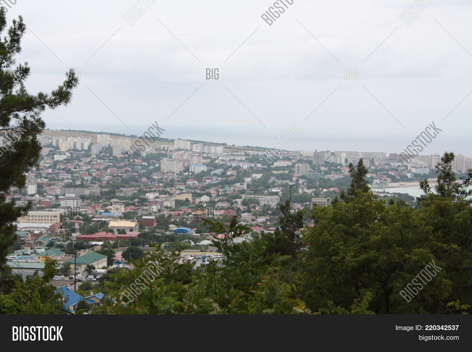 Image Preview