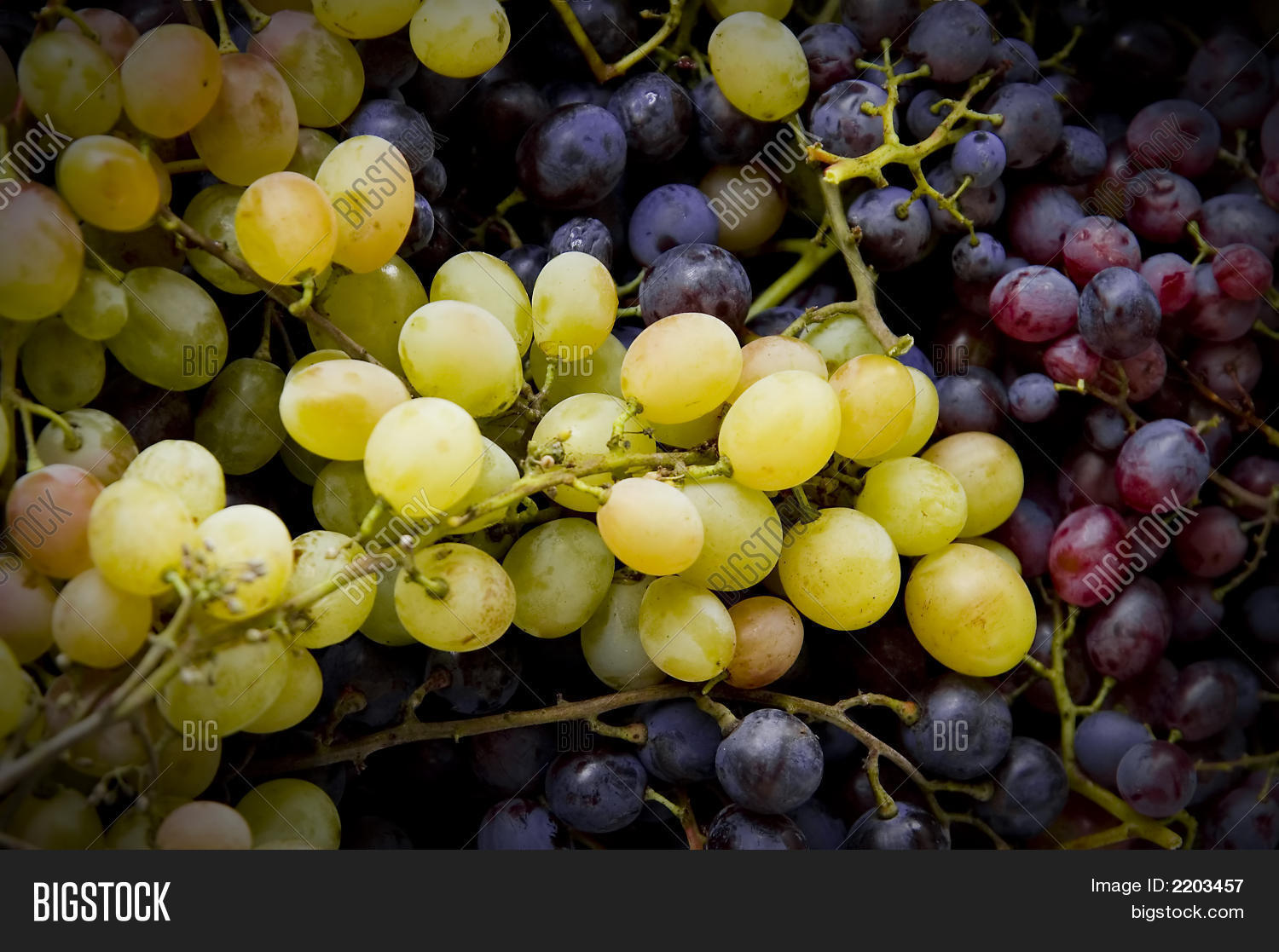 Image Preview