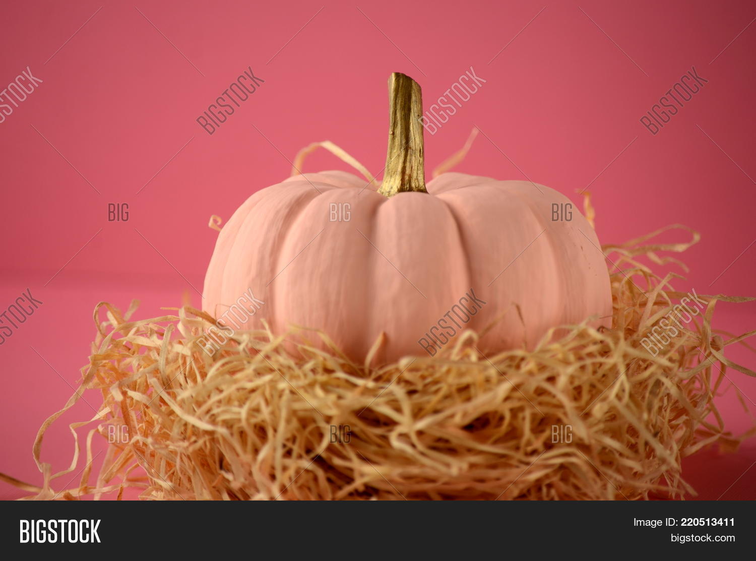 Blush Pink Pumpkins Image & Photo (Free Trial) Bigstock
