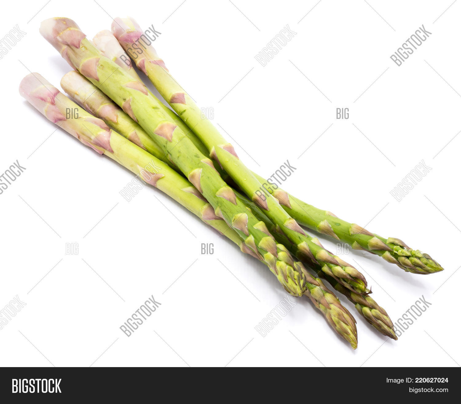 Group Raw Asparagus Image & Photo (Free Trial) Bigstock
