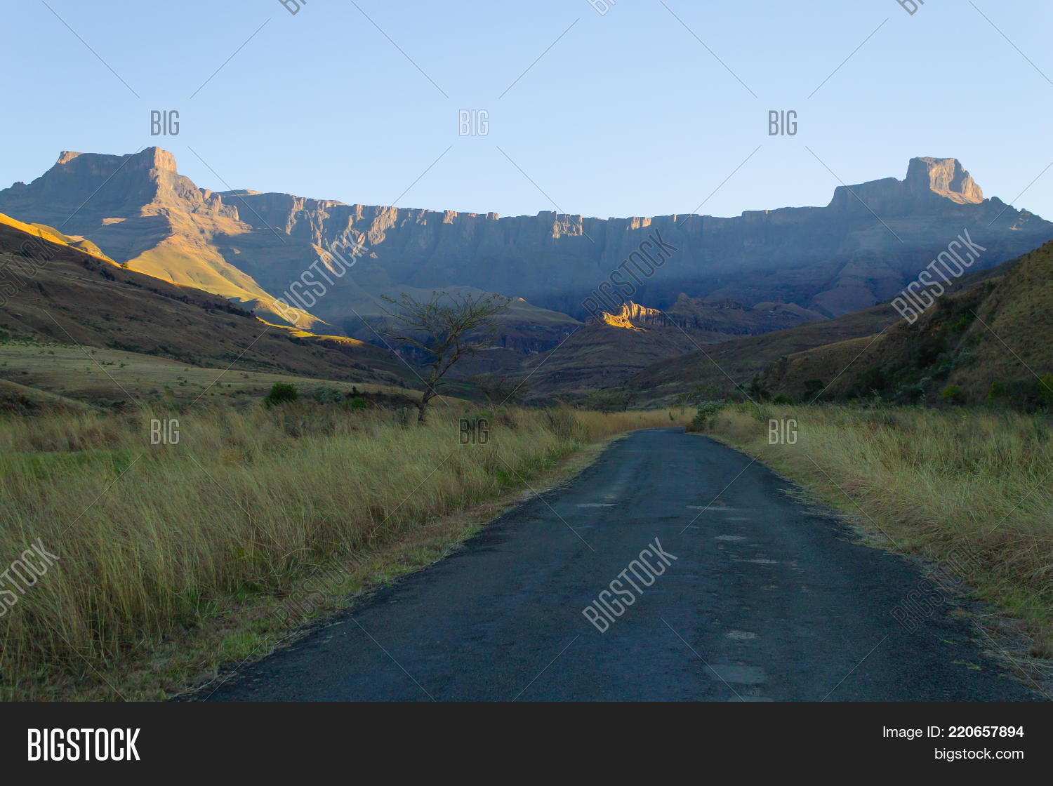 Image Preview