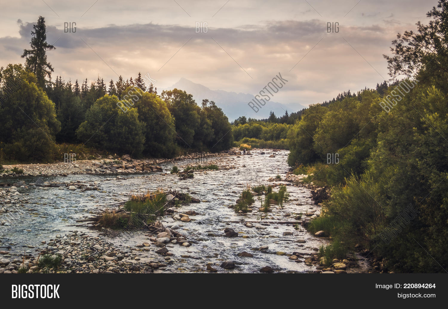 Image Preview