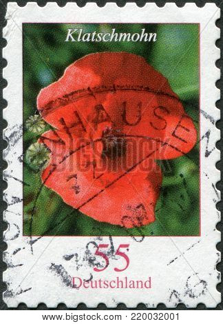 GERMANY - CIRCA 2005: A stamp printed in Germany, shows the flower of Corn Poppy (Papaver rhoeas), circa 2005