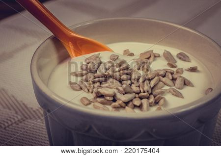 Sweat milk with sunflower seeds.food concept at the litchen