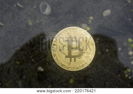 bitcoin coin under water in a puddle crypto currency background concept.