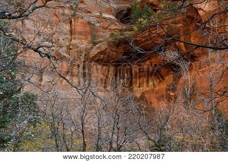 Finger Canyons of the Kolob, Zion National Park, Utah