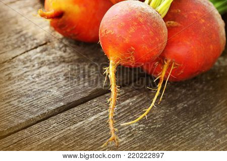 Organic golden beets on rustic wooden background .