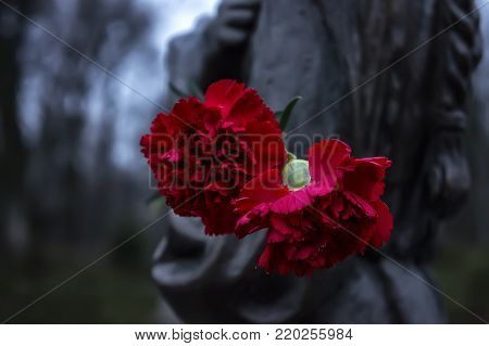beautiful red flowers on the monument. landmark, medieval, naples napoli