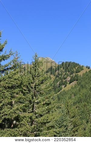 Mountain Mutspitze in the Texel Group in South Tyrol