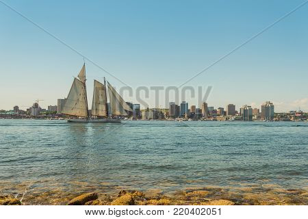 Tall ship in the harbour with Halifax downtown skyline on a sunny day (During the Nova Scotia Tall Ship Festival 2017)