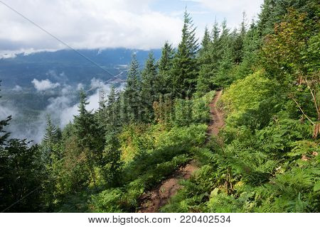 Single lane hiking in the mountains - Hiking in the clouds