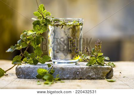 Water of holy basil, tulsi or Ocimum tenuiflorum in a transparent glass.