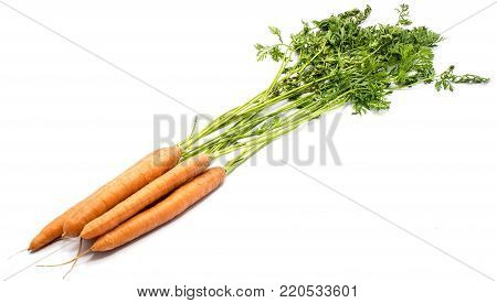 Fresh long orange carrot set with leaves isolated on white background