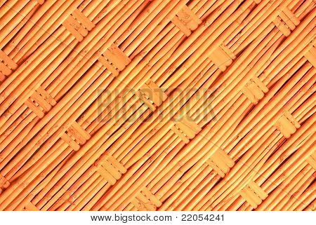 Bamboo