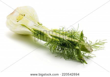 One florence fennel bulb half isolated on white background