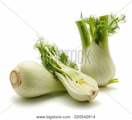Florence fennel isolated on white background two fresh bulb one sliced half