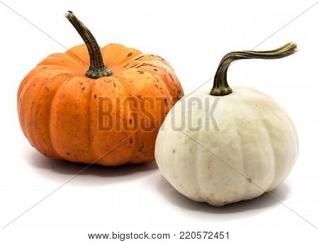 Two whole colorful pumpkins (orange, white) isolated on white background