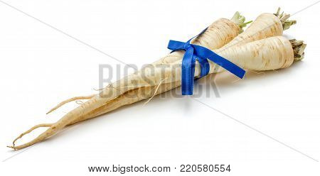 Three whole parsley root tied by blue ribbon isolated on white background