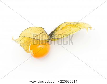 One physalis berry top view isolated on white background
