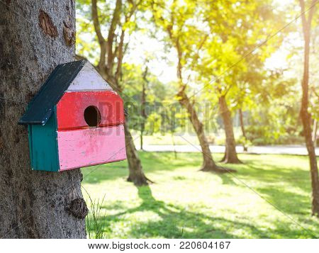 Colorful Bird Houses in the park Hanging on a tree, The bird house was placed at various points.birdhouse forest with many brightly colored bird houses built to attract