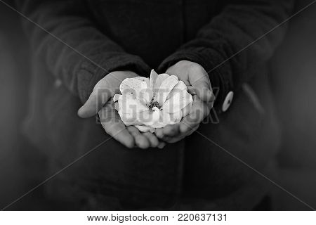 Young Girl Holding White Flower in Hands