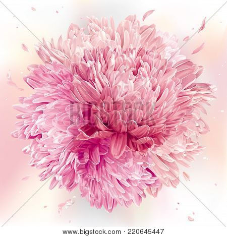 Modern floral art - Pink Asters and Chrysanthemums. Flower vector composition made in the form of a ball for wedding decoration, Valentine's Day,  Mother's Day, sales and other events