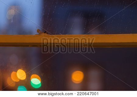 View Through Window, of a Rainy NIght in San Francisco, California