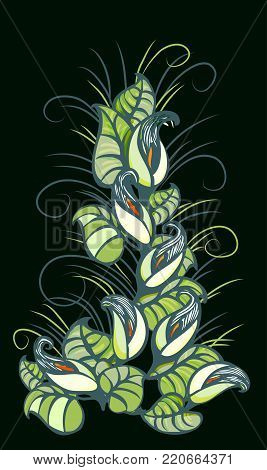 Lily, Calla lilies. The items to create borders, frames of white lilies. Design special events, print on textile, print cards, invitations.