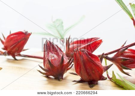 Red Roselle Healthy RedRed Roselle Health Red.
