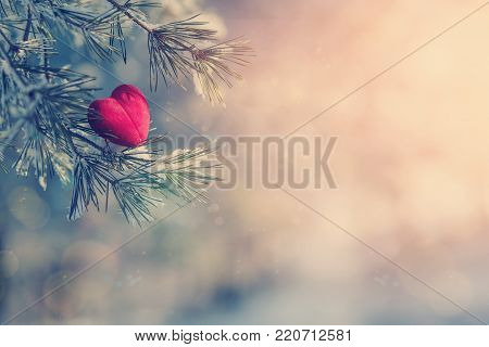 Decorative heart on snow-covered fir branch.Valentine Day card. Winter holidays. Valentines theme. instagram toning effect. retro style