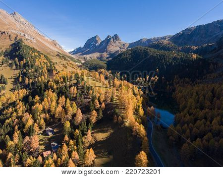 beautiful panorama of the mountains with a forest in the foreground