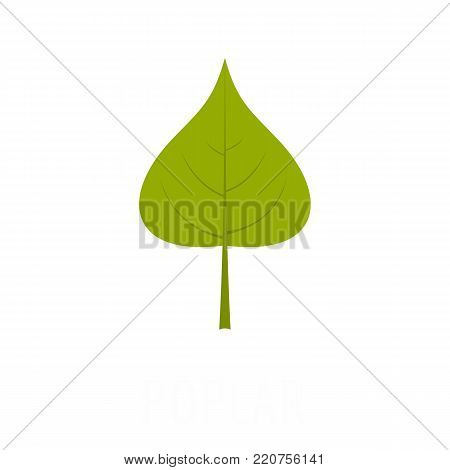 Poplar leaf icon. Flat illustration of poplar leaf vector icon isolated on white background
