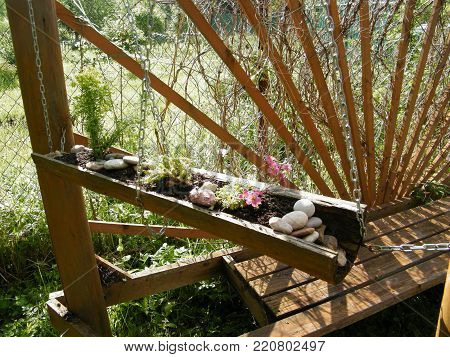 Small stones. seaselles and flowers in the old log in my garden