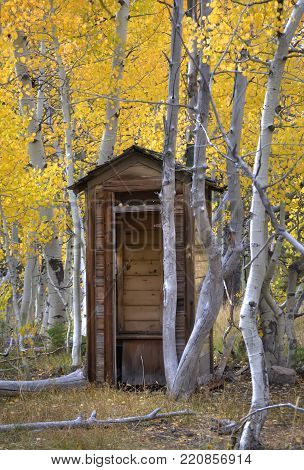 Old fashioned outhouse in the woods with door open