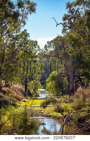 Outback at Dubbo New South Wales Australia