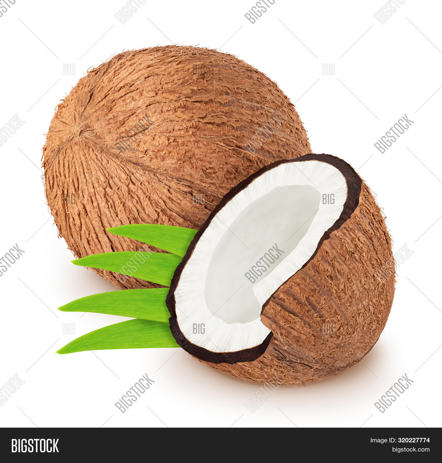 Scarica immagini, illustrazioni e grafica vettoriale di alta qualità a tema...