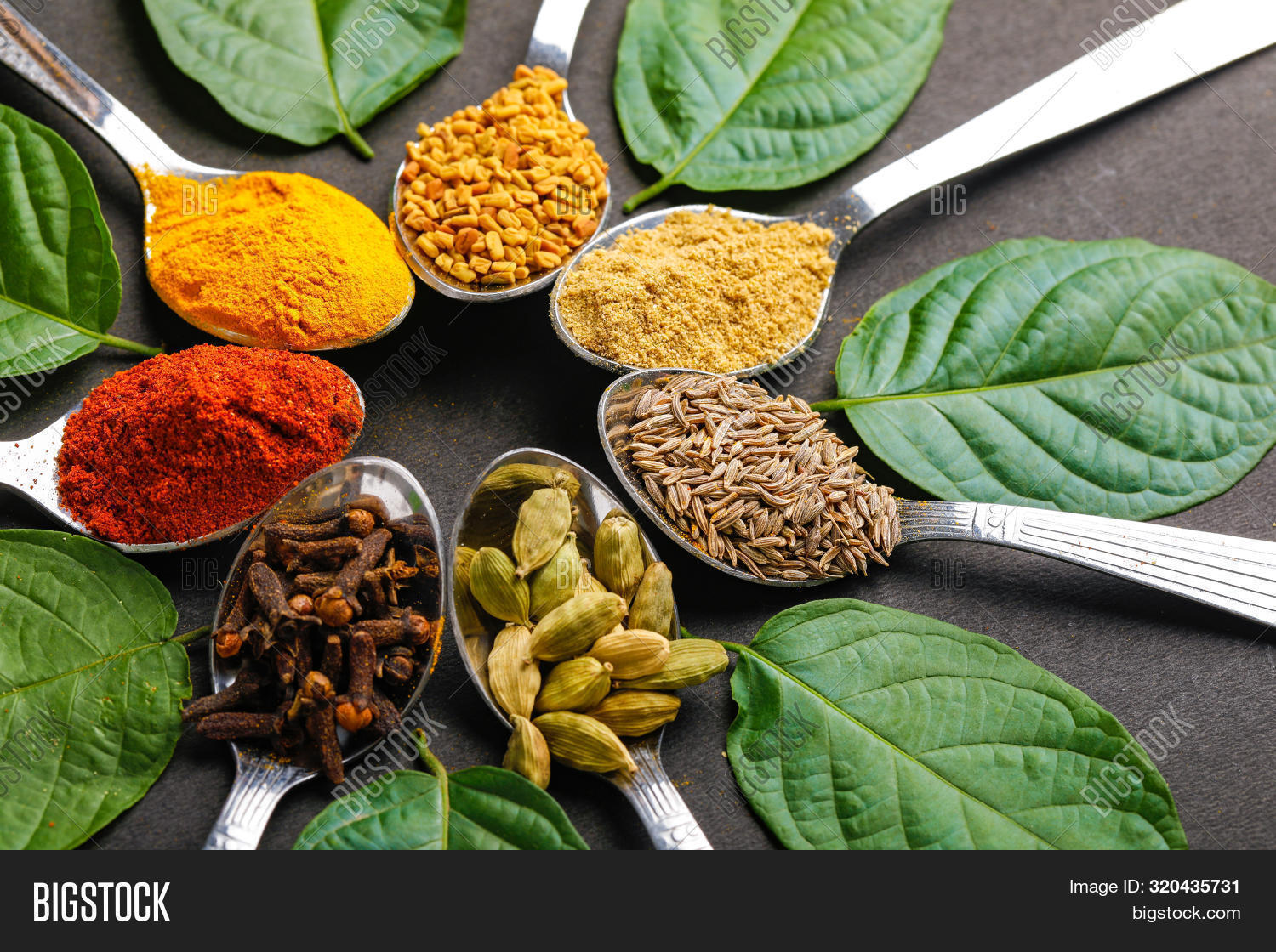 Various Spices ( Cumin Image & Photo (Free Trial) Bigstock
