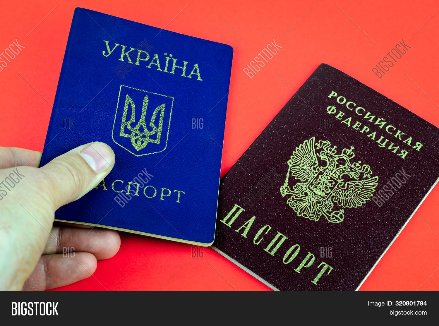 Internal passport