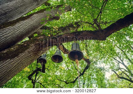 Bells Hanged On A Large Branch With Green Leaves Background