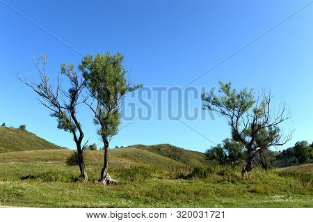 The Surroundings Of The Taiga Village Of Generalka Altai Region. Western Siberia