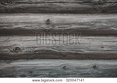 Old Shabby Wooden Wall With Holes Made By Shipworms. Rustic Background And Texture. Close-up