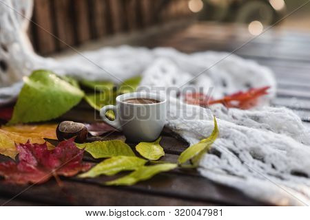 Ceramic Cup Of Coffee With Foam, White Khitted Shawl, Dry Colorful Fallen Leaves And Chestnut On Wet