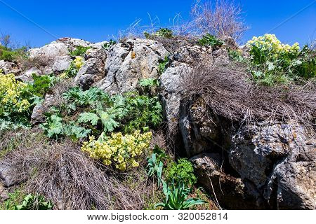 Rocks In The Mountains Against The Blue Sky.